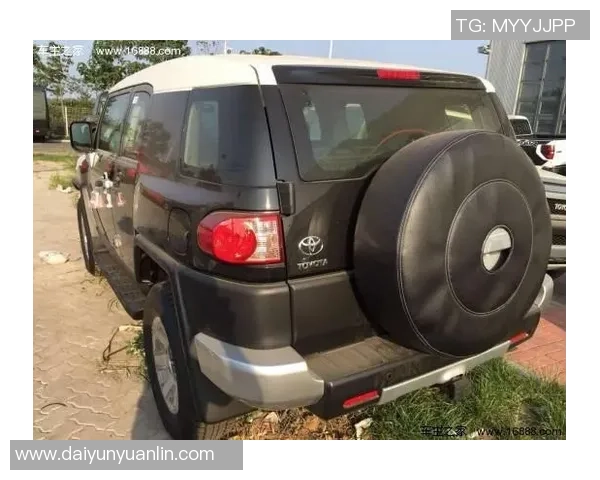 南京网球队在洲际杯积分榜中以95分稳居第一名展现强劲实力