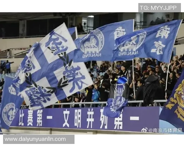 南京排球队的蜕变之路城市联赛中的奋斗与希望