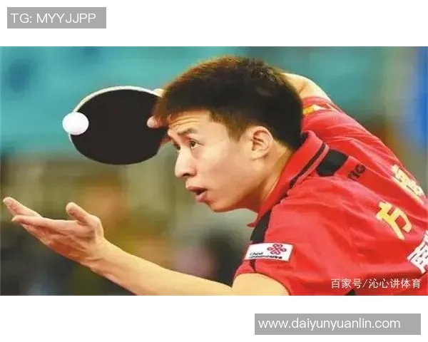 南京乒乓球队协作之道：探寻团队配合与默契的成功秘诀