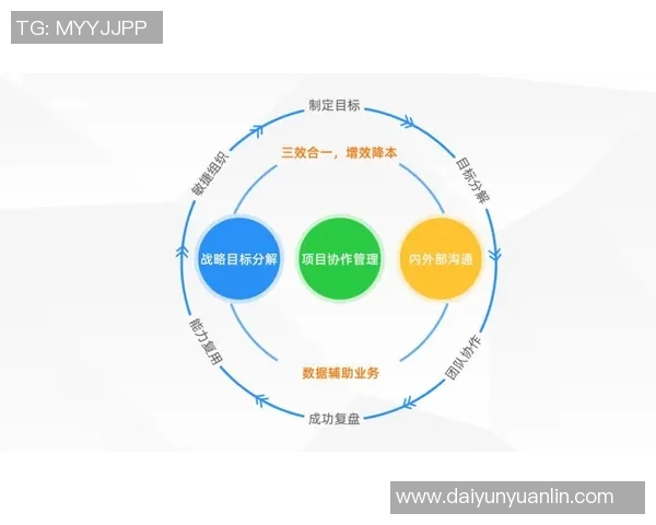 南京排球队与上海排球队赛后复盘团队协作的关键因素与表现分析